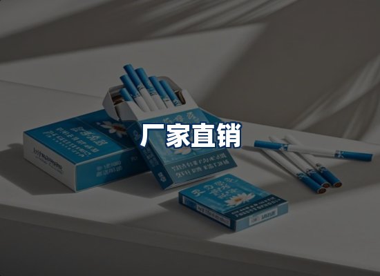 专业团队办公环境
